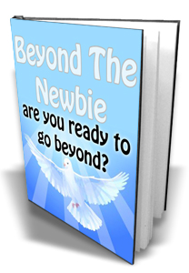 Beyond The Newbie