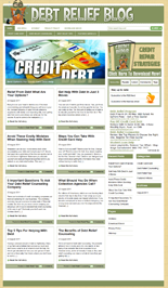 Debt Relief Niche Blog