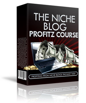 The Niche Blog Profitz Course PLR Video