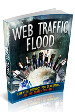 Web Traffic Flood